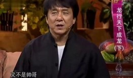 沈玉琳爆料成龙视频,独家爆料引发娱乐圈热议