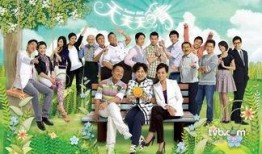 天天天晴在线观看粤语,在线观看，笑迎晴空